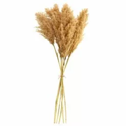 Dunelm Dried Pampas Natural Grass Bundle 75cm 10 Dunelm Dried Pampas Natural Grass Bundle 75cm -clocks Sales Store 30763276 alt04