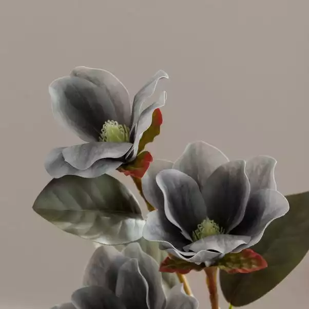 Dunelm Artificial Magnolia Spray Charcoal 63cm 2 Dunelm Artificial Magnolia Spray Charcoal 63cm - Image 2
