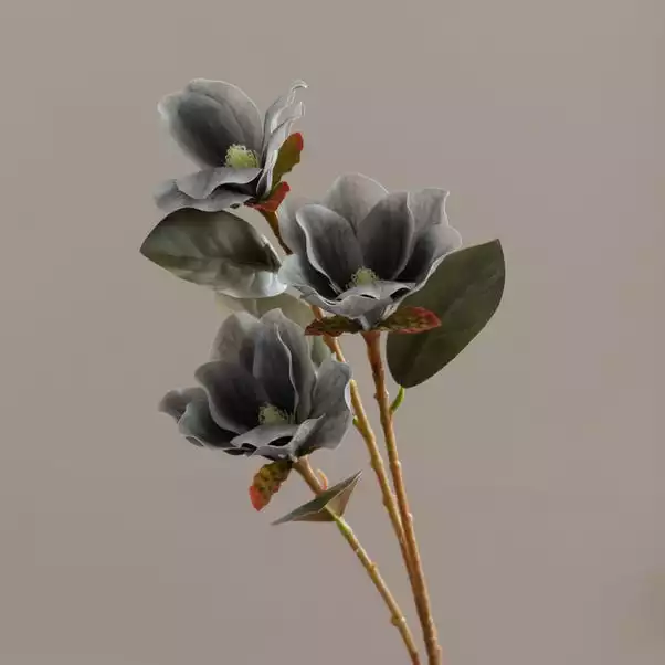 Dunelm Artificial Magnolia Spray Charcoal 63cm 3 Dunelm Artificial Magnolia Spray Charcoal 63cm - Image 3