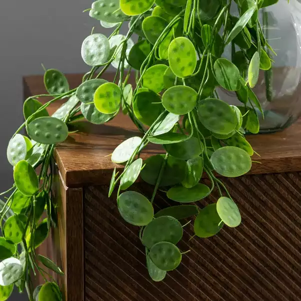 Dunelm Artificial Trailing Honesty Green 65cm 2 Dunelm Artificial Trailing Honesty Green 65cm - Image 2