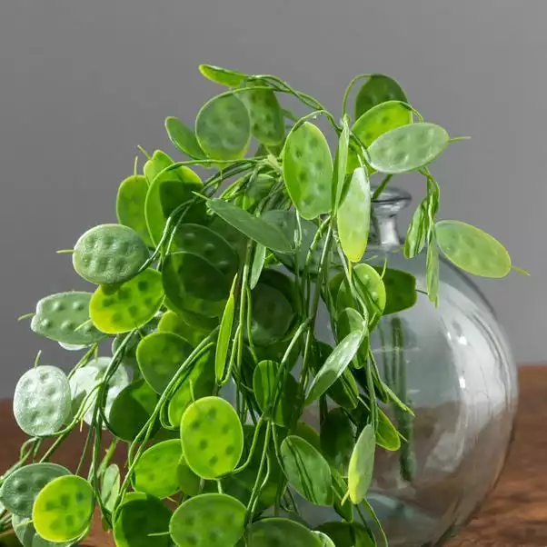 Dunelm Artificial Trailing Honesty Green 65cm 3 Dunelm Artificial Trailing Honesty Green 65cm - Image 3