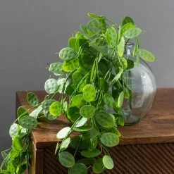 Dunelm Artificial Trailing Honesty Green 65cm 9 Dunelm Artificial Trailing Honesty Green 65cm -clocks Sales Store 30764939 alt03