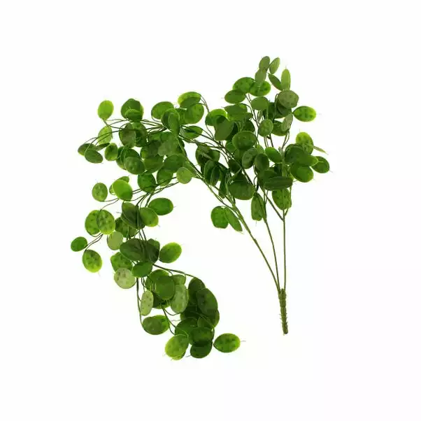 Dunelm Artificial Trailing Honesty Green 65cm 6 Dunelm Artificial Trailing Honesty Green 65cm - Image 6