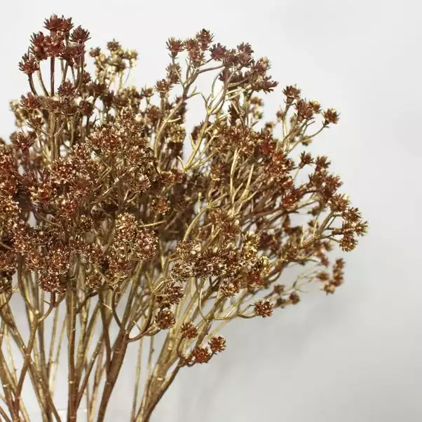 Dunelm Pack Of 12 Artificial Bronze Gypsophila Spray 2 Dunelm Pack Of 12 Artificial Bronze Gypsophila Spray - Image 2