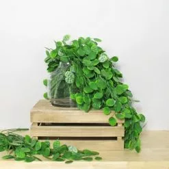 Dunelm Pack Of 12 Artificial Green Trailing Honesty