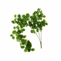 Dunelm Pack Of 12 Artificial Green Trailing Honesty -clocks Sales Store 30764960 alt02