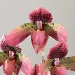 Dunelm Real Touch Slipper Orchid 45cm -clocks Sales Store 30766508 alt03