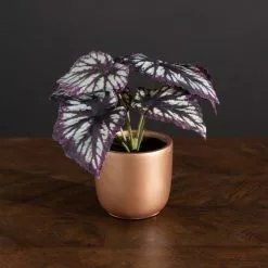 Dunelm Begonia In Gold Pot -clocks Sales Store 30766510 alt03