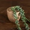 Dunelm String Of Pearls In Gold Pot
