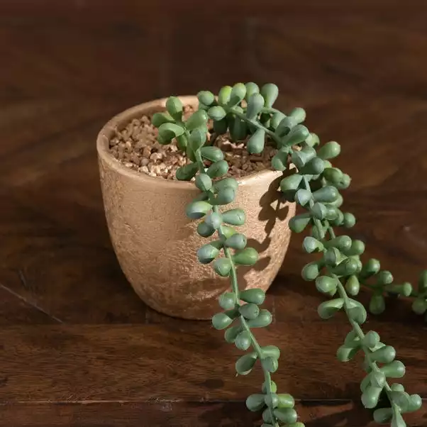 Dunelm String Of Pearls In Gold Pot 1 Dunelm String Of Pearls In Gold Pot