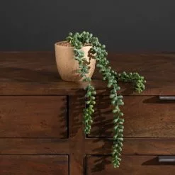 Dunelm String Of Pearls In Gold Pot 6 Dunelm String Of Pearls In Gold Pot -clocks Sales Store 30766551 alt03