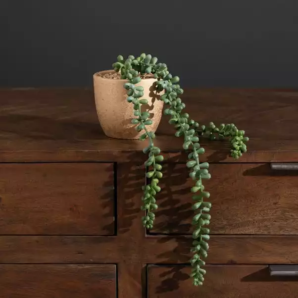 Dunelm String Of Pearls In Gold Pot 3 Dunelm String Of Pearls In Gold Pot - Image 3