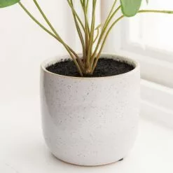 Dunelm Chinese Money Plant Reactive Glaze -clocks Sales Store 30766553 alt02