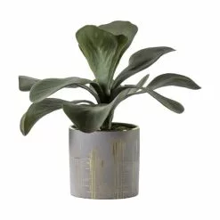 Cedar & Sage Kalanchoe Gold Ceramic Pot