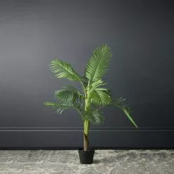 Scottish Everlastings Palm Tree 110cm