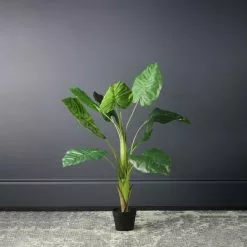 Scottish Everlastings Philo Tree 110cm