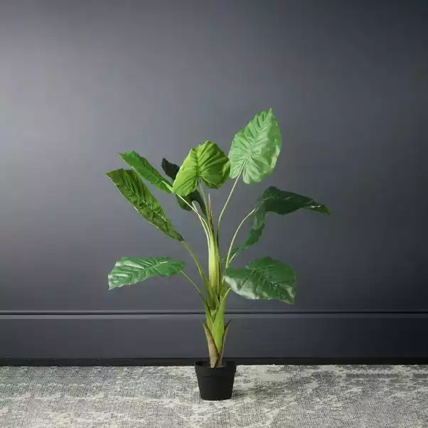 Scottish Everlastings Philo Tree 110cm 1 Scottish Everlastings Philo Tree 110cm