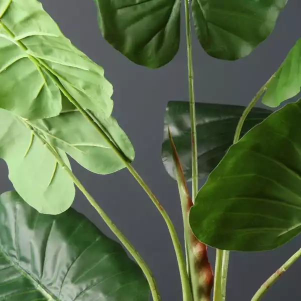 Scottish Everlastings Philo Tree 110cm 2 Scottish Everlastings Philo Tree 110cm - Image 2