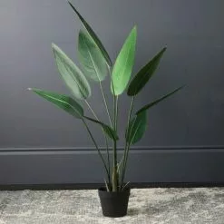 Scottish Everlastings Real Touch Bird Of Paradise 110cm