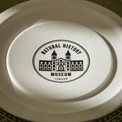 Natural History Museum Cathedral To Nature 33.5cm Lantern -clocks Sales Store 30782301 alt04