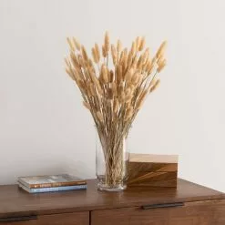 Dunelm Natural Dried Lagurus Bundle 80g