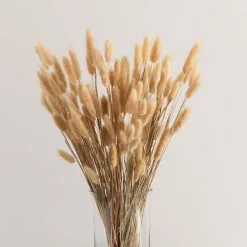 Dunelm Natural Dried Lagurus Bundle 80g -clocks Sales Store 30786723 alt03