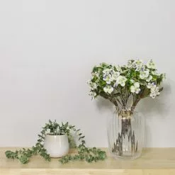 Dunelm Pack Of 6 Cream Pansy Bundle