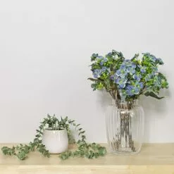 Dunelm Pack Of 6 Blue Pansy Bundle