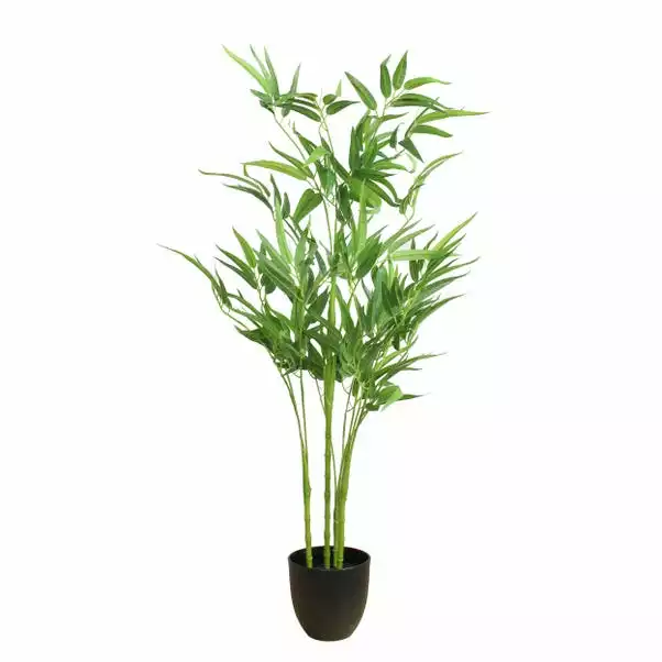 Dunelm Artificial Bamboo Tree 90cm 4 Dunelm Artificial Bamboo Tree 90cm - Image 4