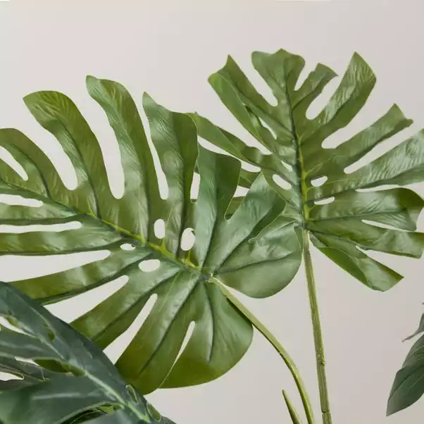 Dunelm Artificial Cheese Plant 90cm 2 Dunelm Artificial Cheese Plant 90cm - Image 2