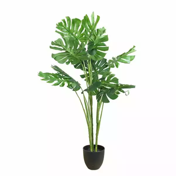 Dunelm Artificial Cheese Plant 90cm 4 Dunelm Artificial Cheese Plant 90cm - Image 4