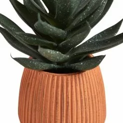 Dunelm Cacti In Ceramic Pot 16cm -clocks Sales Store 30794941 alt02