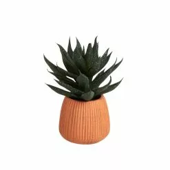 Dunelm Cacti In Ceramic Pot 16cm -clocks Sales Store 30794941 alt03