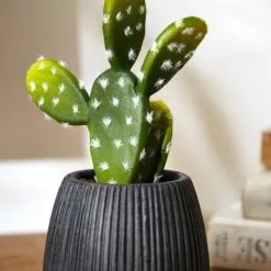 Dunelm Cacti In Ceramic Pot 16cm 5 Dunelm Cacti In Ceramic Pot 16cm -clocks Sales Store 30794942 alt01