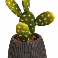 Dunelm Cacti In Ceramic Pot 16cm 6 Dunelm Cacti In Ceramic Pot 16cm -clocks Sales Store 30794942 alt02
