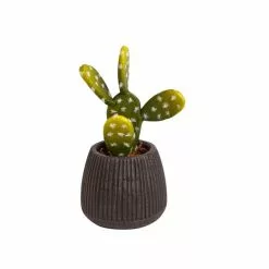 Dunelm Cacti In Ceramic Pot 16cm 7 Dunelm Cacti In Ceramic Pot 16cm -clocks Sales Store 30794942 alt03