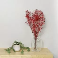 Dunelm Preserved Gypsophila Russet Bundle 40g