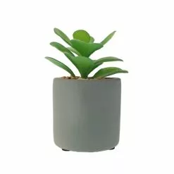 Dunelm Jade Succulent In Pacific Pot 5 Dunelm Jade Succulent In Pacific Pot -clocks Sales Store 30796538 alt02