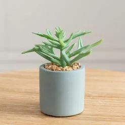 clocks Sales Store -clocks Sales Store 30796539 alt01