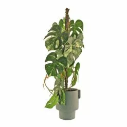 Dunelm Artificial Climbing Variegated Monstera In Pacific Pot -clocks Sales Store 30796692 alt04