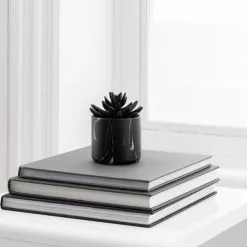 Dunelm Succulent In Black Marble Pot