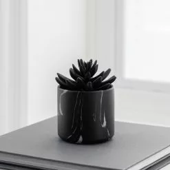 Dunelm Succulent In Black Marble Pot -clocks Sales Store 30796700 alt02