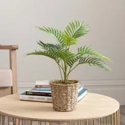 Dunelm Tabletop Palm In Basket Pot