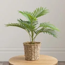 Dunelm Tabletop Palm In Basket Pot -clocks Sales Store 30796711 alt03
