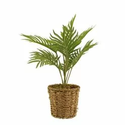 Dunelm Tabletop Palm In Basket Pot -clocks Sales Store 30796711 alt04