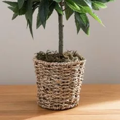 Dunelm Tabletop Bay In Basket Pot -clocks Sales Store 30796712 alt02