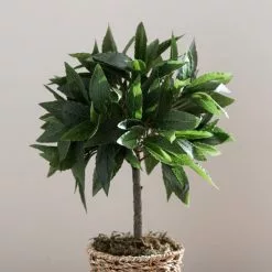 Dunelm Tabletop Bay In Basket Pot -clocks Sales Store 30796712 alt03