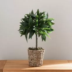 Dunelm Tabletop Bay In Basket Pot -clocks Sales Store 30796712 alt04