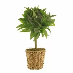 Dunelm Tabletop Bay In Basket Pot -clocks Sales Store 30796712 alt05