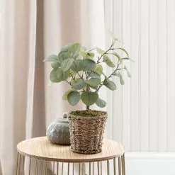 Dunelm Tabletop Eucalyptus Tree In Basket